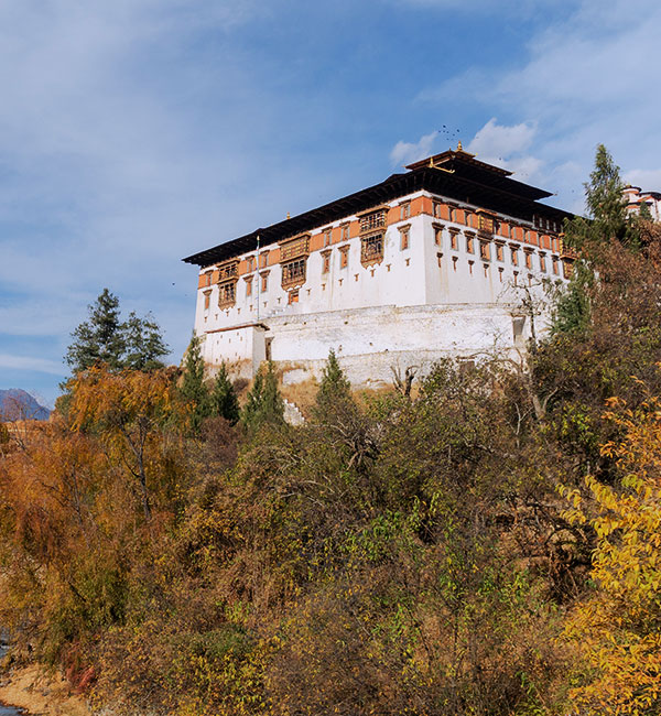 Paro