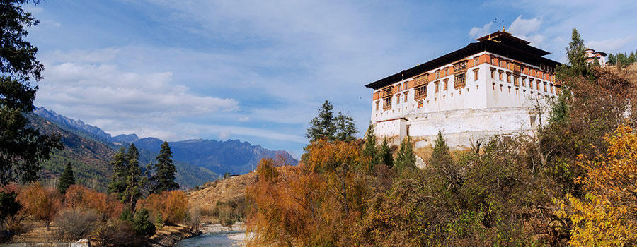 Paro