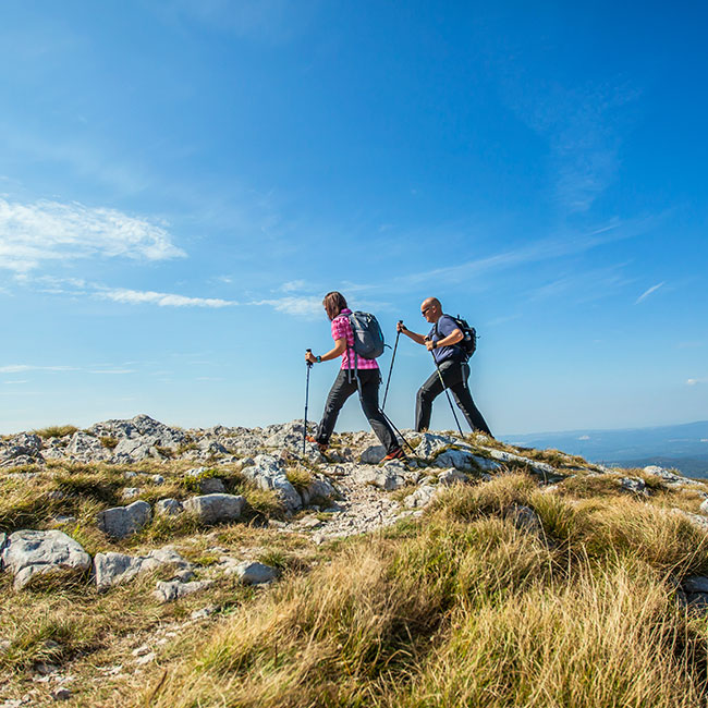 Trekking Tours