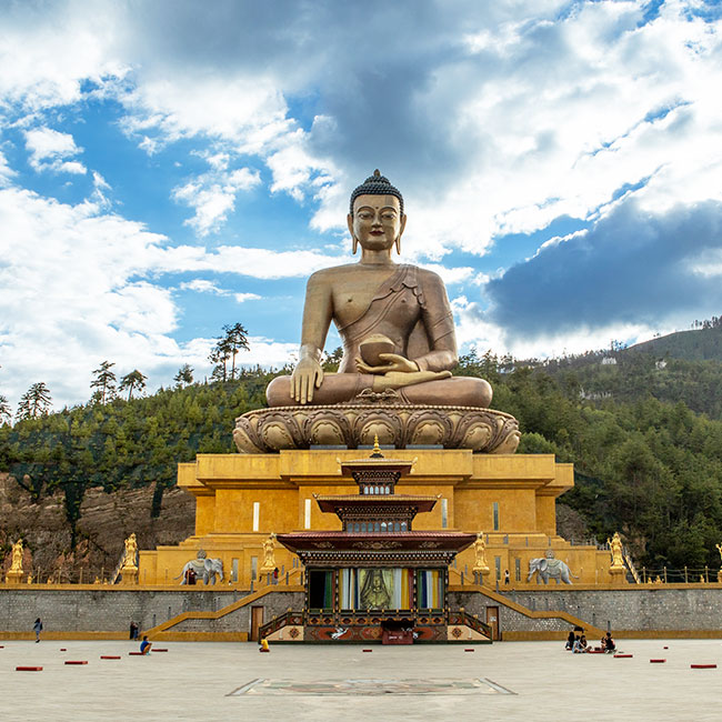 Wellness Tours